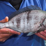 fishing-colin-minehead-0005