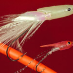 fishing-east-coast-boat-cod-0002