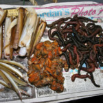 fishing-east-coast-boat-cod-0007