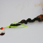 arbroath cod fishing