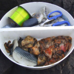 fishing-east-haven-shore-cod-0004