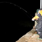 fishing-gordon-harris-shore-skate-0001