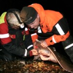 fishing-gordon-harris-shore-skate-0006