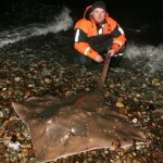 fishing-gordon-harris-shore-skate-0009