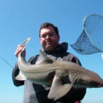fishing-holyhead-smoothhounds-0003