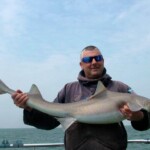 fishing-holyhead-smoothhounds-0006