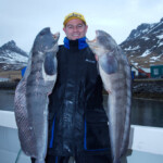 fishing-iceland-boat-catfish-wolf-fish-001