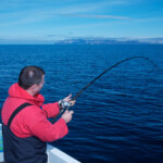 fishing-iceland-boat-catfish-wolf-fish-003