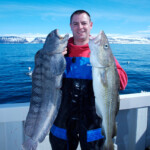 fishing-iceland-boat-catfish-wolf-fish-015