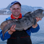 fishing-iceland-boat-catfish-wolf-fish-016