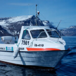 fishing-iceland-boat-catfish-wolf-fish-020