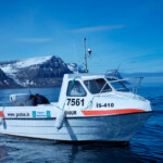 fishing-iceland-boat-catfish-wolf-fish-021