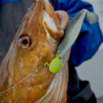 fishing-iceland-sudavik-boat-0002