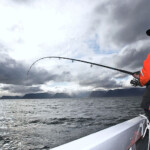 fishing-iceland-sudavik-boat-0009