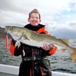 sudavik cod