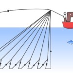 fishing-pirk-casting-scrabster-0006