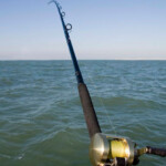 fishing-review-daiwa-saltist-all-tider-boat-rod-0001