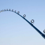 fishing-review-daiwa-saltist-all-tider-boat-rod-0002