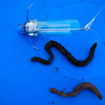 fishing-review-dvice-bait-delivery-system-0004