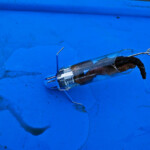 fishing-review-dvice-bait-delivery-system-0005