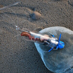 fishing-review-dvice-bait-delivery-system-0008