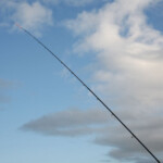 fishing-review-fox-conqueror-multi-match-beach-rod-0010