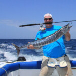 Fox sailfish rod