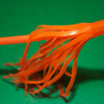 fishing-review-shamrock-animal-rigs-0006