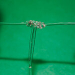 fishing-review-shamrock-animal-rigs-0009