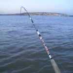 fishing-review-zziplex-islander-boat-rod-uk-hooks-0011