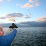 fishing-shore-alderney-bream-mullet-0004