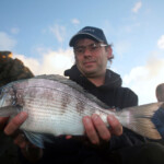 fishing-shore-alderney-bream-mullet-0006