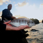 fishing-shore-alderney-bream-mullet-0007