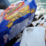 fishing-shore-alderney-bream-mullet-0009