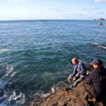 fishing-shore-alderney-bream-mullet-0010
