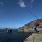 fishing-shore-alderney-bream-mullet-0012