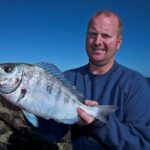 fishing-shore-alderney-bream-mullet-0016