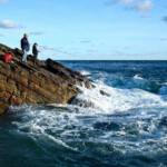 fishing-shore-alderney-bream-mullet-0018