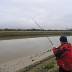 fishing-shore-arun-flounders-0006