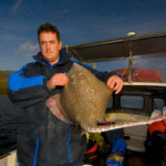 fishing-shore-boat-rays-0001