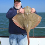 fishing-shore-boat-rays-0002