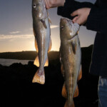 fishing-shore-cod0003