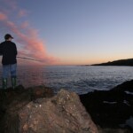 fishing-shore-cod0006