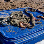 fishing-shore-elliot-beach-flounder-0007