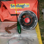 fishing-shore-flounder-greatham-creek-0005