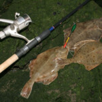 fishing-shore-flounder-greatham-creek-0011