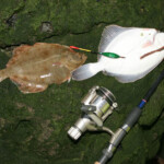 fishing-shore-flounder-greatham-creek-0014