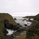 fishing-shore-muchals-cod-0001