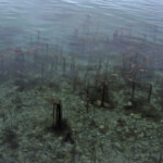 fishing-shore-orkney-scrabster-0002