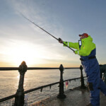 fishing-shore-roker-pier-0006
